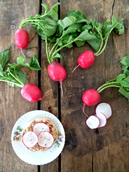 Playing with Radishes 